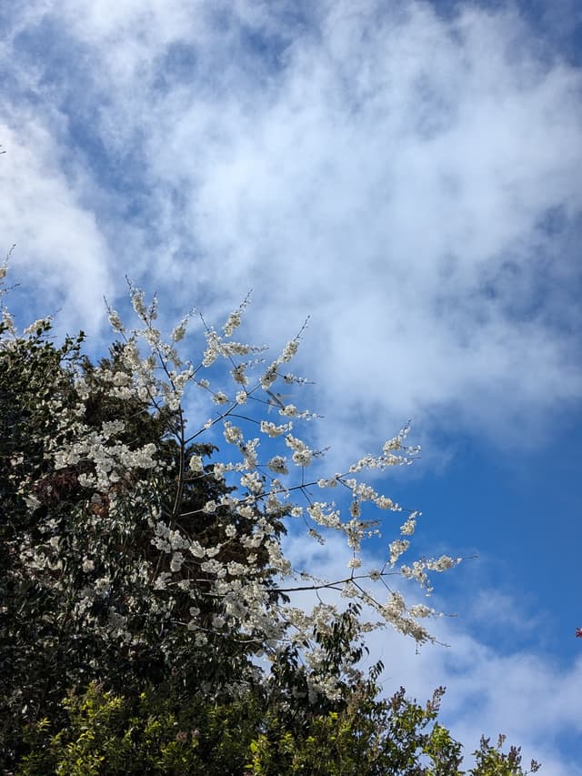 up
