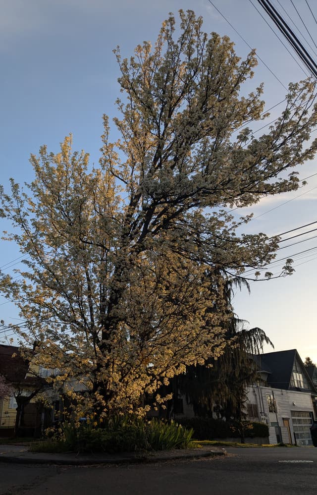 05 APR 25
